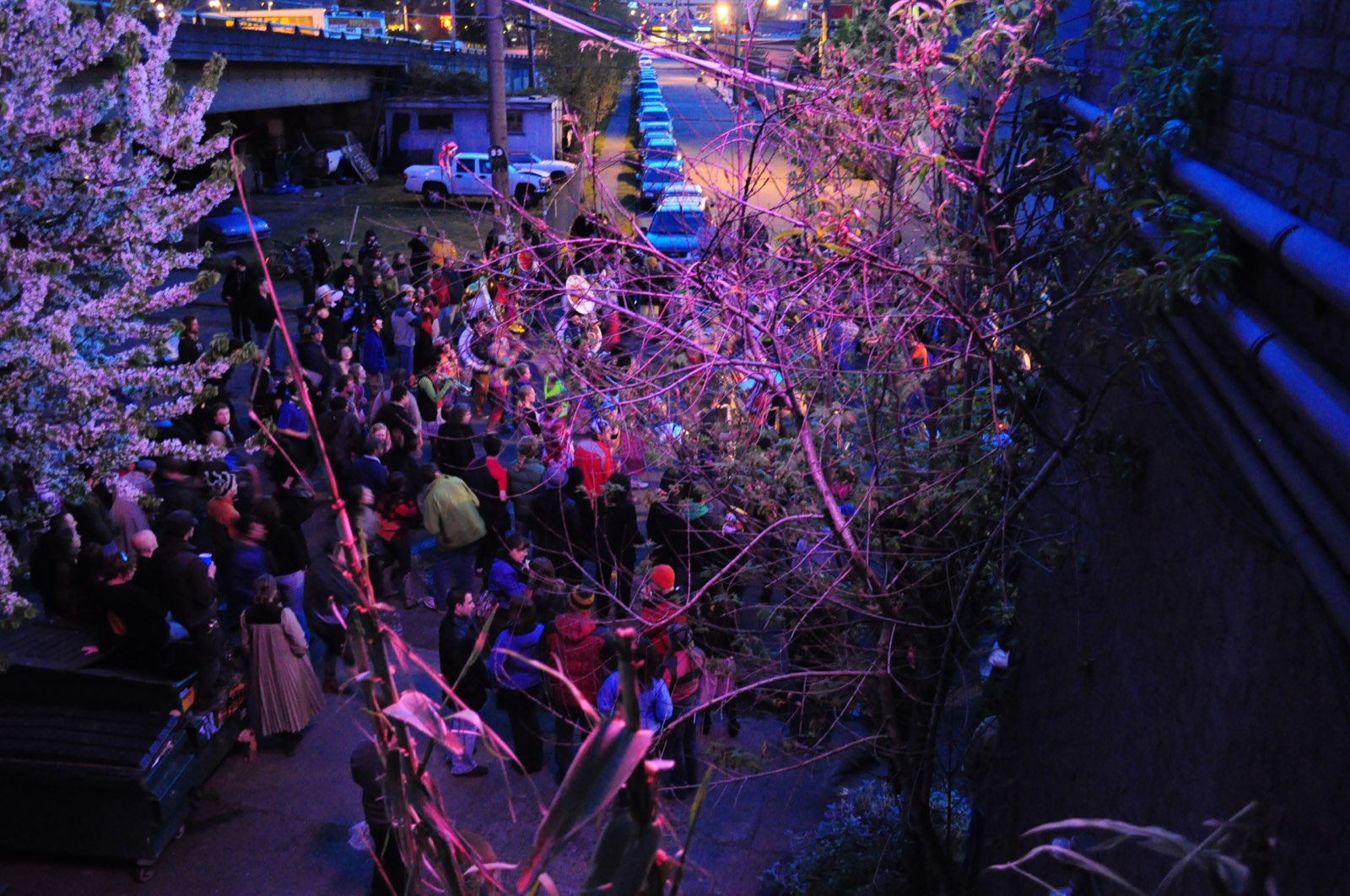Multidão em volta de uma fanfarra ao anoitecer, vista do alto por entre galhos floridos, durante o Honk Fest West, em Seattle.